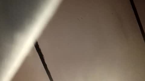 Skinz038 online show from April 2026 08:52:02 AM