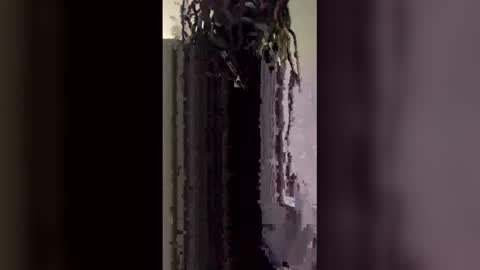 skooby1235 online show from February 2026 09:15:01 AM