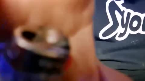 skunk8p online show from January 2026 06:29:01 AM