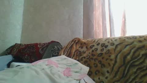 skyressie333 online show from April 2026 06:31:01 AM