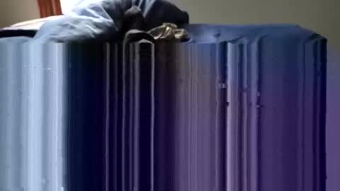 Snapshot of slappincheeks299 chatting on October 2025 10:23:02 PM slappincheeks299 online show from October 2025 10:23:02 PM