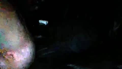 slideitin96 online show from January 2025 03:11:02 AM