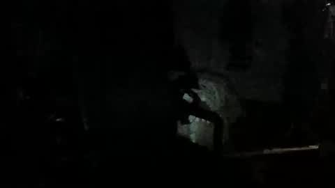 slideitin96 online show from January 2026 01:42:02 AM