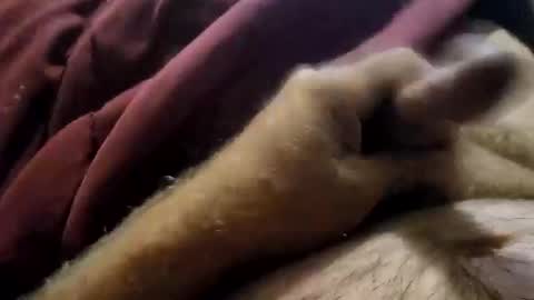 slitlicke69696969 online show from September 2025 01:56:01 PM