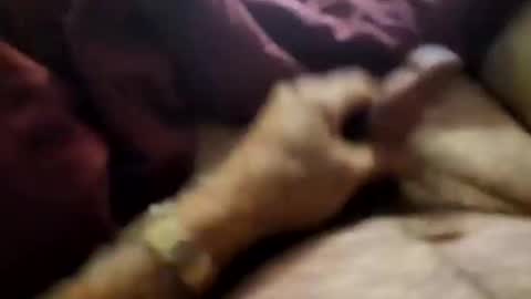 slitlicke69696969 online show from September 2025 10:28:01 AM