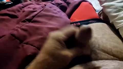 slitlicke69696969 online show from October 2025 09:10:01 AM