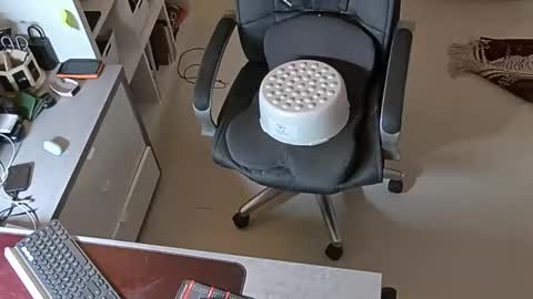 Snapshot of sluttygina1 chatting on January 2025 02:53:02 PM sluttygina1 online show from January 2025 02:53:02 PM