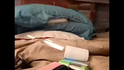 Nastyguurl online show from March 2026 01:56:01 PM