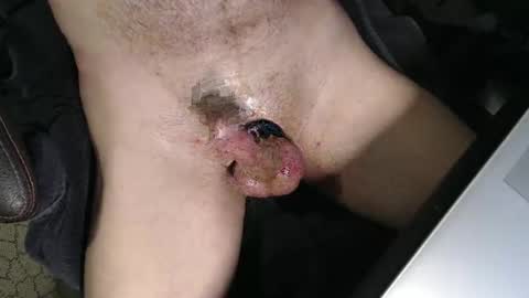 slyfast1 online show from April 2026 04:43:01 AM