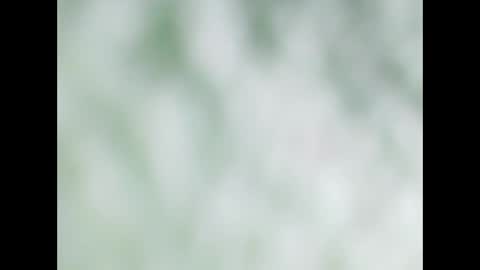 Snapshot of small_wood21 chatting on December 2025 11:51:01 AM small wood21 online show from December 2025 11:51:01 AM