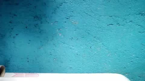 jess online show from January 2025 05:09:02 PM