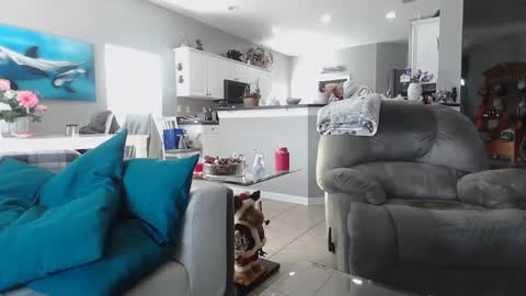 Daddy online show from December 2024 07:31:02 PM