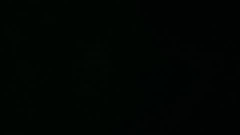 smoke-4-me online show from March 2026 11:38:01 AM