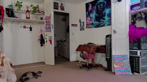 Big Dawg online show from November 2025 02:39:01 PM