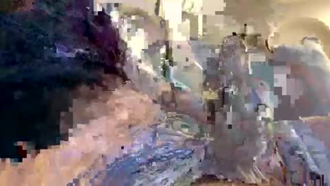 smokingdank online show from December 2024 03:47:02 AM