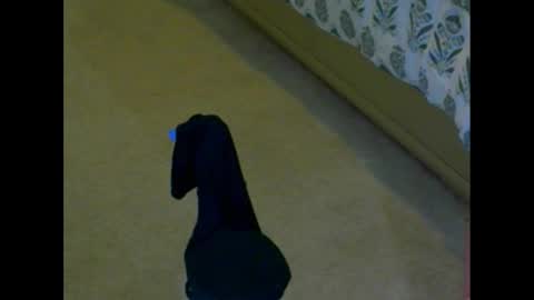 snizniz online show from December 2024 04:09:01 PM