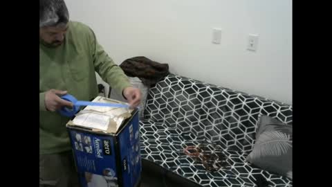 snizniz online show from February 2025 06:30:01 AM