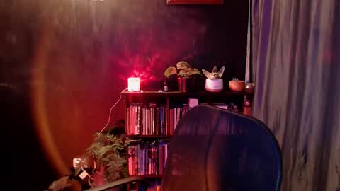 Snapshot of snow_flowers chatting on January 2026 11:09:01 PM Arwen online show from January 2026 11:09:01 PM