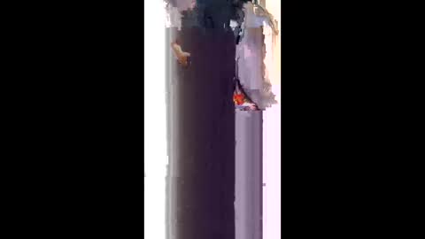 snowballkyut online show from March 2026 01:53:02 AM