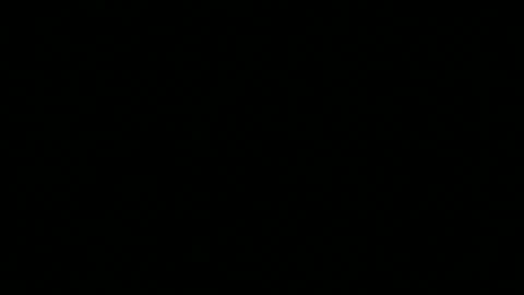 Snapshot of snp__useeitsfun chatting on November 2025 09:41:01 AM snp__useeitsfun online show from November 2025 09:41:01 AM