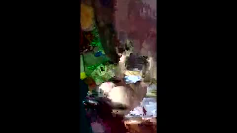 snqhephncxpu online show from April 2026 03:01:01 AM