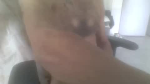 sodomite754 online show from November 2025 05:06:01 AM