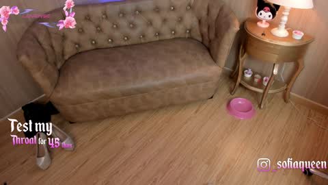Snapshot of soffiqueen chatting on January 2025 10:51:02 PM Schedule 1400 - 2100 gtm-5 online show from January 2025 10:51:02 PM