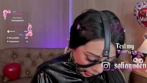 Snapshot of soffiqueen chatting on February 2025 12:04:02 AM Schedule 1400 - 2100 gtm-5 online show from February 2025 12:04:02 AM