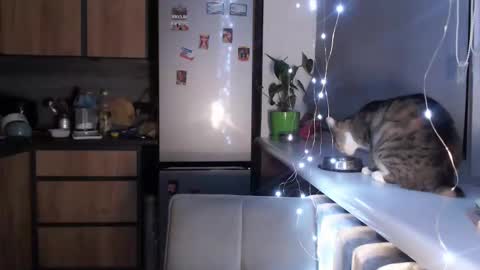 Sofi online show from January 2025 10:39:01 PM