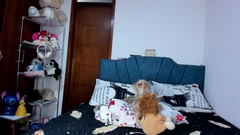 sofia86379 online show from March 2026 07:50:01 PM