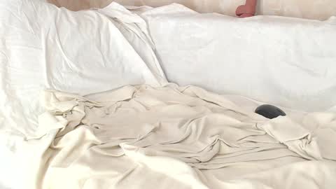 Sofia here online show from January 2025 08:06:01 AM