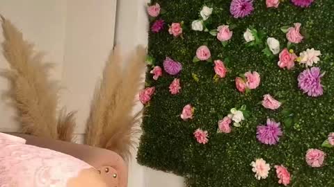 Sofi  online show from January 2026 06:55:02 PM