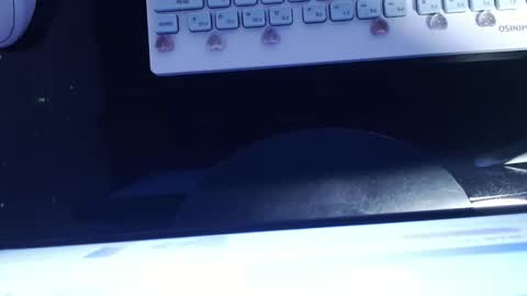 SOFIA NIX online show from January 2025 06:06:01 AM