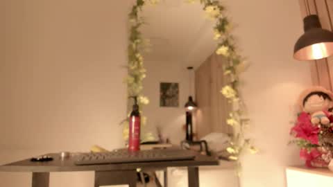 Snapshot of sofiesoft chatting on January 2026 05:27:02 PM Sofie online show from January 2026 05:27:02 PM