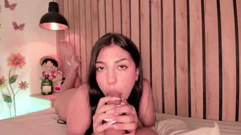 Snapshot of sofiesoft chatting on February 2026 08:15:01 PM Sofie online show from February 2026 08:15:01 PM