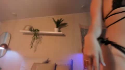 sofii_wild online show from June 2026 01:48:02 PM