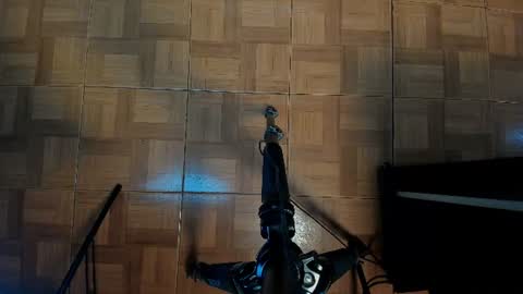 sofii_wild online show from July 2026 12:09:01 PM