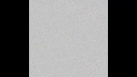 Sofi online show from November 2025 11:31:01 AM