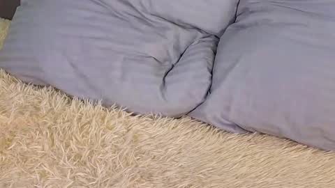 Snapshot of soft_babe chatting on March 2025 06:19:01 PM Milisa online show from March 2025 06:19:01 PM