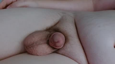 chubby enby sissy online show from December 2025 09:20:01 PM