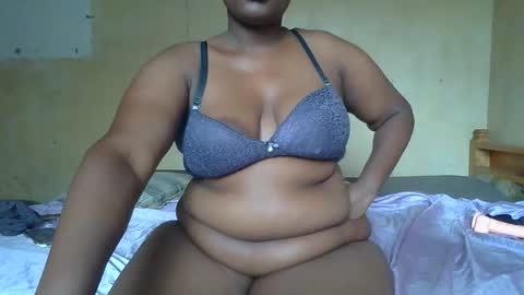 Solly bunny online show from February 2026 07:51:02 AM