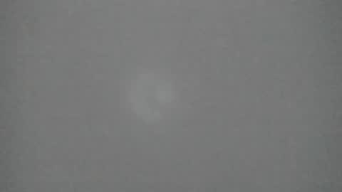 sophia_ebony___ online show from February 2026 12:31:01 PM