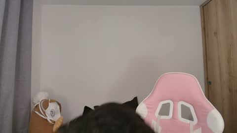 Sophia Storm online show from May 2026 10:50:03 PM