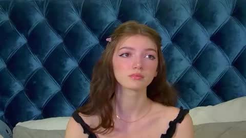 Snapshot of sophiaprove chatting on February 2026 04:06:02 PM SophiaProve online show from February 2026 04:06:02 PM