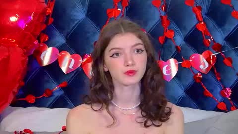 Snapshot of sophiaprove chatting on February 2026 04:03:02 PM SophiaProve online show from February 2026 04:03:02 PM