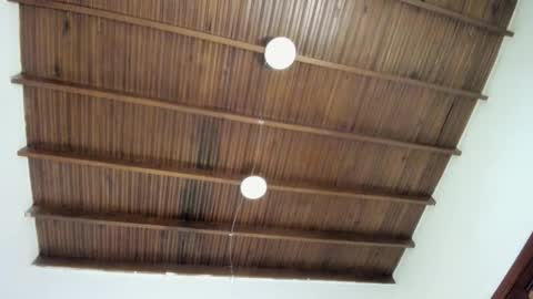 sophie_smith19 online show from December 2025 01:19:01 PM