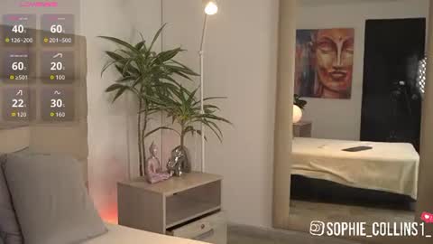 Snapshot of sophiecollins_1 chatting on June 2026 12:04:01 PM Sophie online show from June 2026 12:04:01 PM
