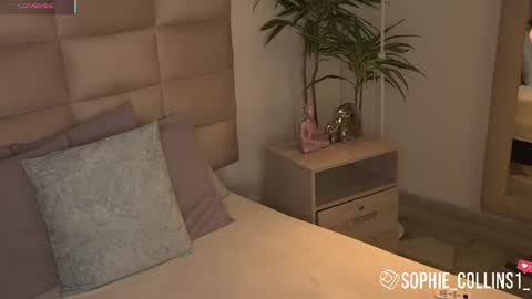 Snapshot of sophiecollins_1 chatting on June 2026 11:55:02 AM Sophie online show from June 2026 11:55:02 AM
