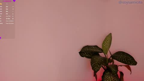 Sami Diaz   online show from December 2024 08:34:02 AM