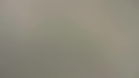 Spartacus online show from January 2025 09:13:01 AM